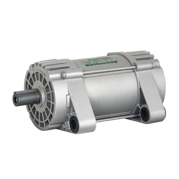 Suspended Variable Frequency Adjustable Speed Three-Phase Induction Motor