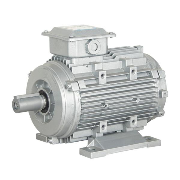 Variable Frequency Adjustable Speed Three-Phase Induction Motor